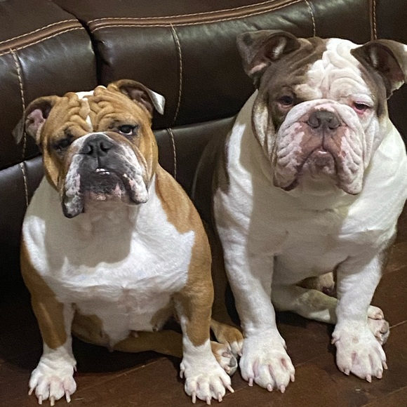 Meet your Posher, Carrie! Posh Ambassador!!🤩 - Picture 5 of 13